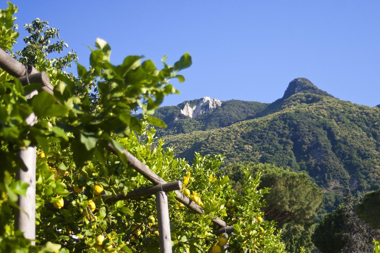 Resort Villa Flavio Casamicciola Terme Exterior photo